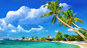 The Magic of Sunsets – Nature’s Daily Masterpiece